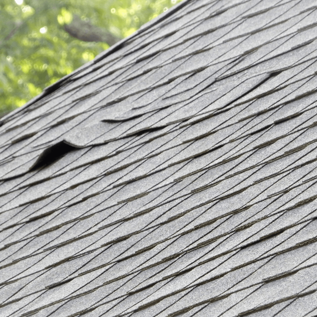 Roof repair, roofing company